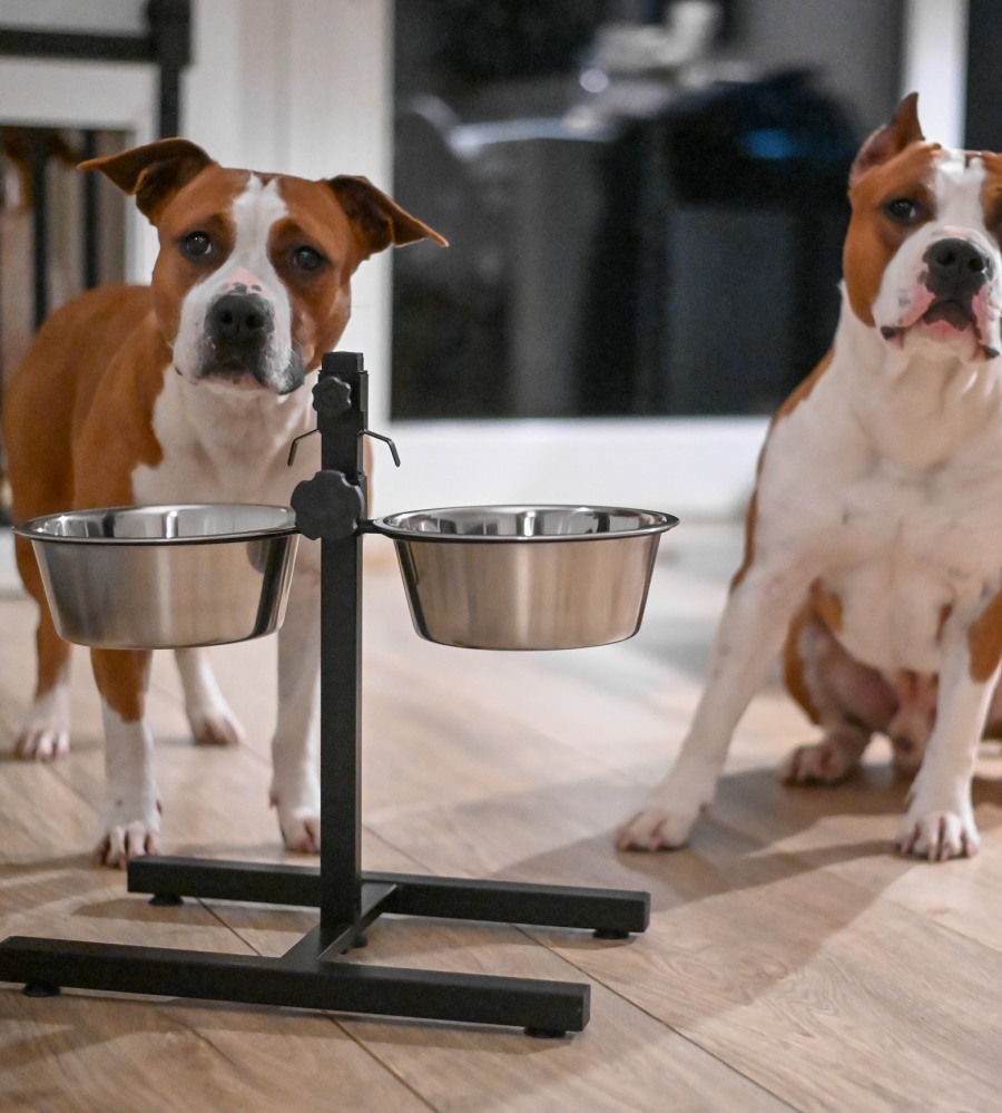 Adjustable Food Stand with Bowls - Black - Image 3